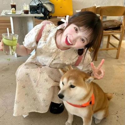 奇妙的来来去去