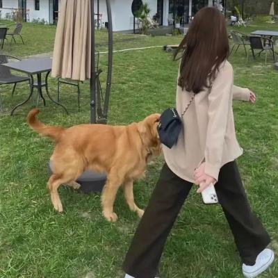 八零小辣椒
